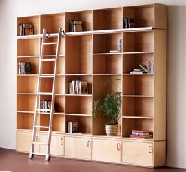 Carson Maddox Rolling Ladder Bookcase